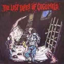 Compilations : The Lost Tapes of Cogumelo